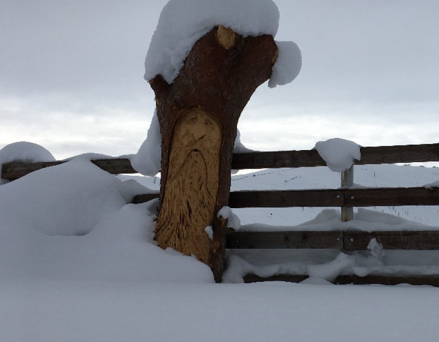 Sculture di legno